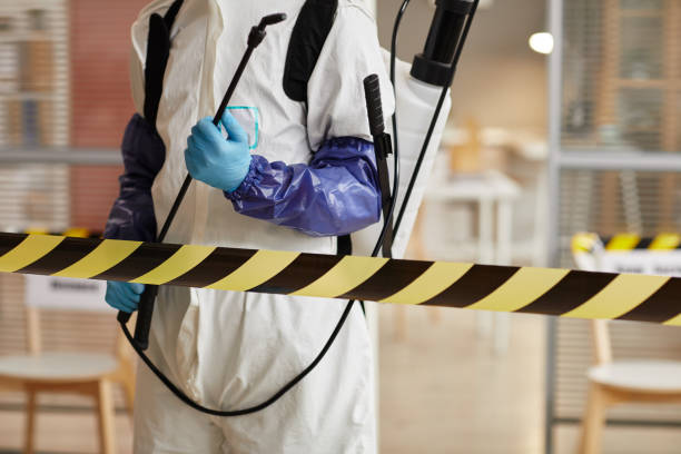 Professional Hoarding Cleanup technician working in Memphis, FL